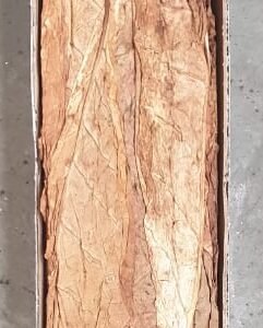 Daun kering difoto dari atas