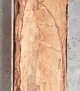 Daun kering dalam kotak kardus difoto dari atas.