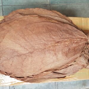 Daun tembakau wrapper lembaran utuh di atas kemasan, warna coklat natural dengan serat daun terlihat jelas.